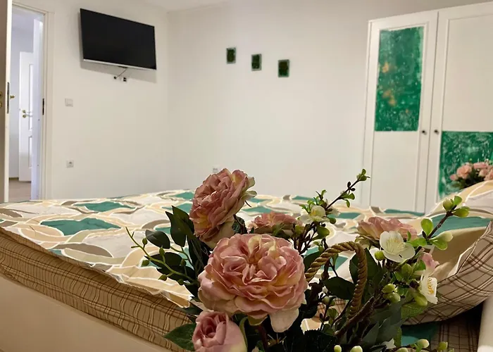 Apartament House Sasca